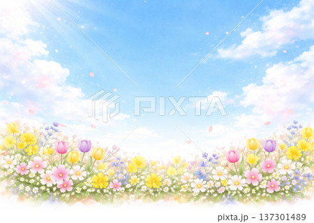 春の花シリーズ：花畑と青空の広がる横長バナー素材 137301489