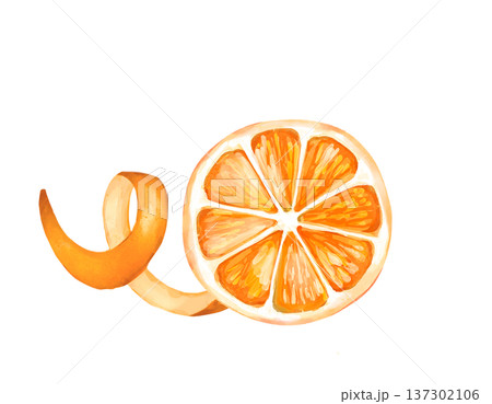 Hand drawn digital illustration of juicy orange citrus slice, twisted orange peel zest 137302106