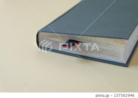 Bible book with Thumb drive on color background. Bible book with Thumb drive on color background. 137302946