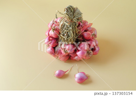 Fresh shallots on color background.Spiced vegetables. Fresh shallots on color background.Spiced vegetables. 137303154