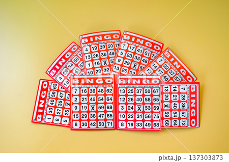 Red Bingo card game on color background. 137303873