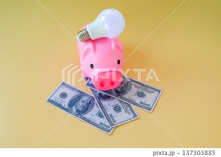 A light bulb and Piggy bank on banknote background, Energy saving concept. A light bulb and Piggy bank on banknote background, Energy saving concept. 137303885
