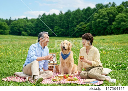 広大な緑の草原でピクニックを楽しむシニア夫婦とゴールデンレトリーバー。 137304165