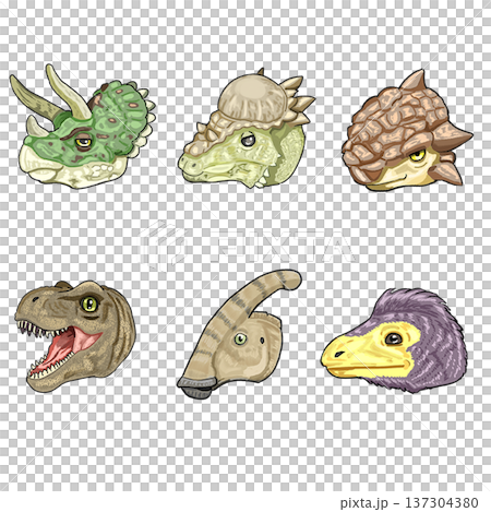 6 types of dinosaur faces 6 types of dinosaur faces 137304380
