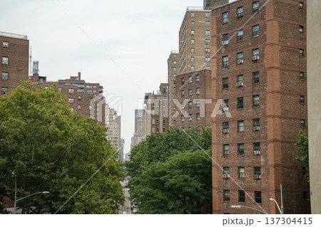 Tall brick residential buildings rise above a tree-lined Manhattan street. The quiet urban neighborhood shows everyday life in New York City. Tall brick residential buildings rise above a tree-lined Manhattan street. The quiet urban neighborhood shows everyday life in New York City. 137304415