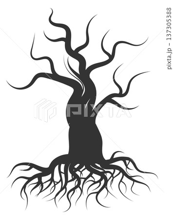 Dry tree silhouette. Forest plant black shape Dry tree silhouette. Forest plant black shape 137305388