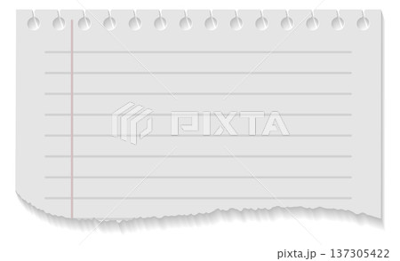 Notebook scrap with torn edge. White paper piece Notebook scrap with torn edge. White paper piece 137305422