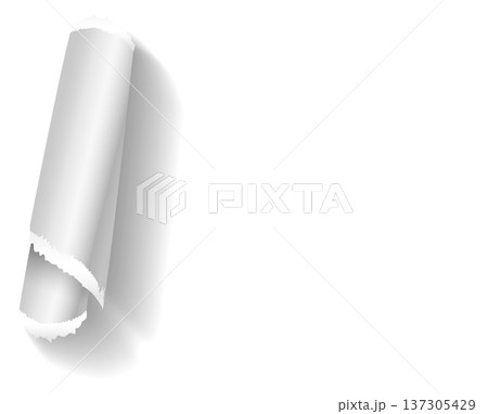 Paper stripe rolled with torn edge realistic shadow Paper stripe rolled with torn edge realistic shadow 137305429