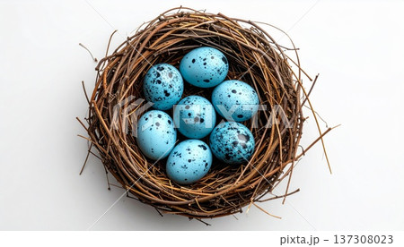 Blue Speckled Eggs in a Bird Nest with White...のイラスト素材 [137308023] - PIXTA