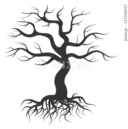 Aged tree black silhouette. Winter plant shape Aged tree black silhouette. Winter plant shape 137308457
