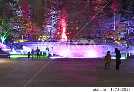 杜の都仙台 新たに誕生したウィンターイルミネーション・センダイ ブライトナイツ ストーリー 勾当台公 杜の都仙台 新たに誕生したウィンターイルミネーション・センダイ ブライトナイツ ストーリー 勾当台公 137308852