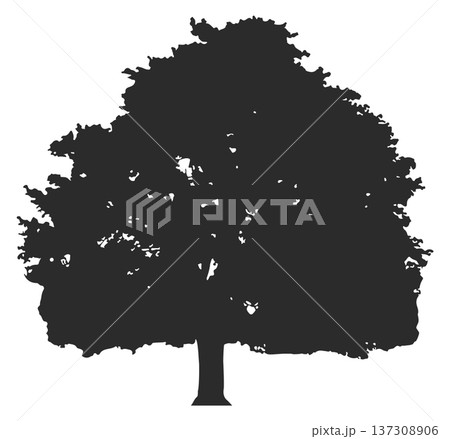 Park tree black silhouette. Nature landscape element Park tree black silhouette. Nature landscape element 137308906