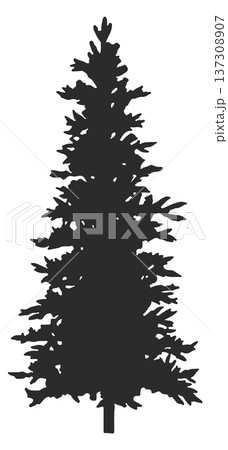 Forest spruce black shape. Coniferous tree icon Forest spruce black shape. Coniferous tree icon 137308907