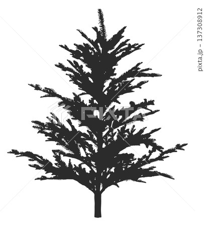 Coniferous tree black silhouette. Woodland flora icon Coniferous tree black silhouette. Woodland flora icon 137308912