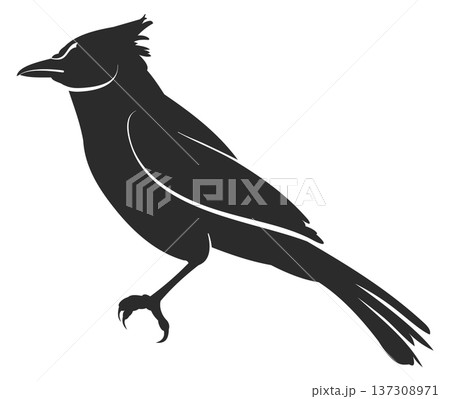 Wild bird black shape. Forest animal silhouette Wild bird black shape. Forest animal silhouette 137308971