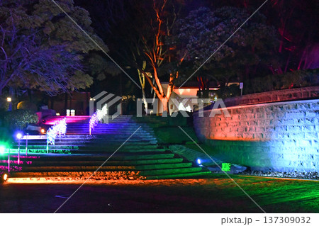 杜の都仙台　新たに誕生したウィンターイルミネーション・センダイ ブライトナイツ ストーリー　勾当台公 137309032