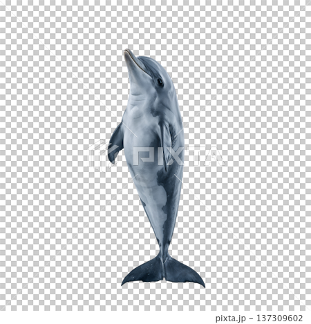 Dolphin Swimming in Clear Water While Performing a Jump During a Sunny Day Dolphin Swimming in Clear Water While Performing a Jump During a Sunny Day 137309602