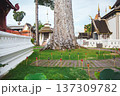 Wat Chedi Luang 137309782
