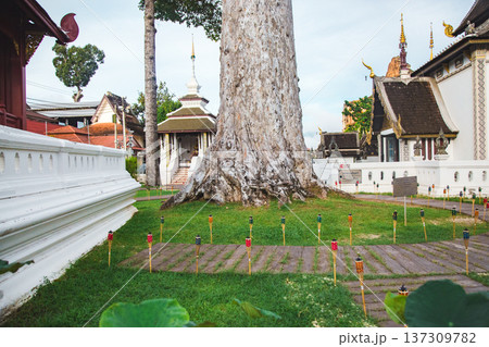 Wat Chedi Luang 137309782