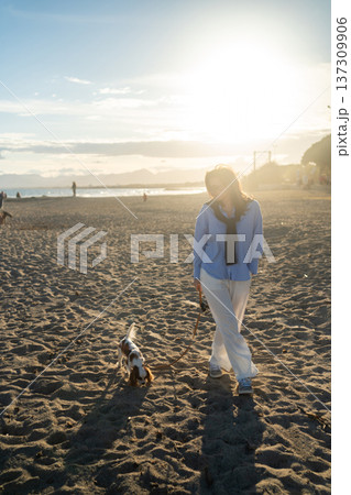 A young woman hugs her Cavalier King Charles Spaniel on the beach at sunset. Warm light, waves, and smiles capture a peaceful, joyful moment of connection and relaxation. A young woman hugs her Cavalier King Charles Spaniel on the beach at sunset. Warm light, waves, and smiles capture a peaceful, joyful moment of connection and relaxation. 137309906
