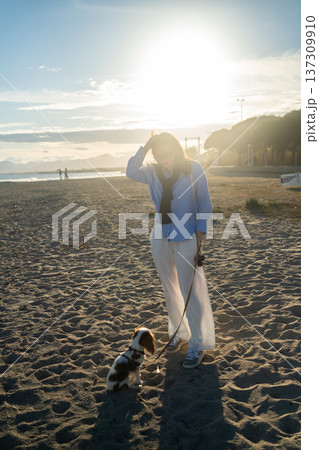 Young woman walking a small cavalier king charles spaniel puppy on a sandy beach during a beautiful golden hour sunset 137309910