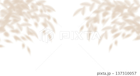 Soft leaf tree shadow, flower plant cast blurred gobo. Light wall bg overlay, tropic branch delicate png. White summer decoration elements. Nature garden shades, bright sunlight texture silhouette 137310057