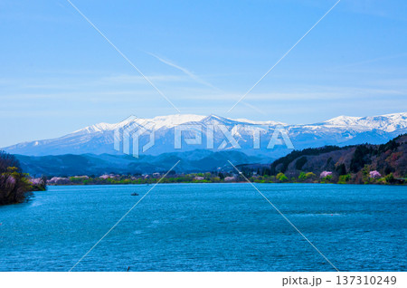 宮城県 亘理郡 山元町 ひまわり畑 宮城県 亘理郡 山元町 ひまわり畑 137310249