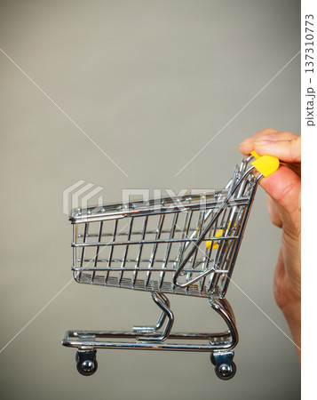 Woman hand holding small tiny shopping cart 137310773