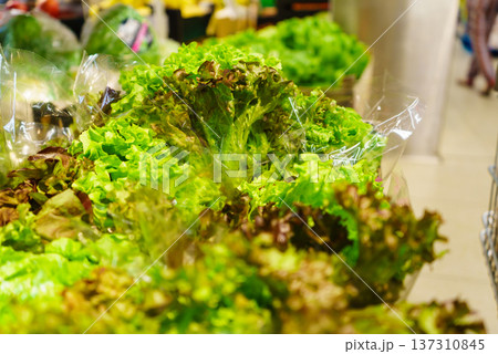 Green endive lettuce on shop shelf Green endive lettuce on shop shelf 137310845