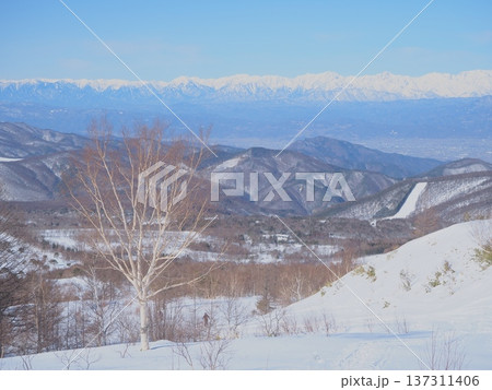 雪の北アルプスの山並みとダケカンバ（afli20260220094416） 137311406