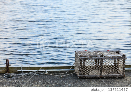 crab cage in harbor on shore crab cage in harbor on shore 137311457