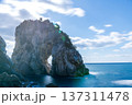 白崎海洋公園付近の立巌岩の風景 137311478