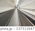 Long underground autowalk extending through a tunnel in a transit, metro, transports people 137311647