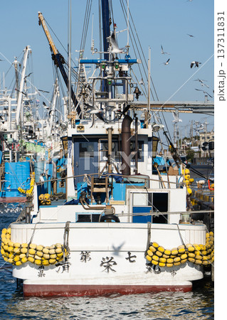 銚子漁港に停泊する漁船 137311831