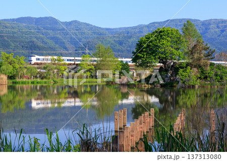 琵琶湖畔・貫川内湖の早朝の穏やかな風景のなか特急列車が走り抜ける 137313080