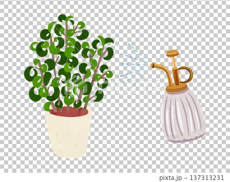 Mist spray and potted Benjamin baroque plant, watercolor hand-drawn illustration 137313231