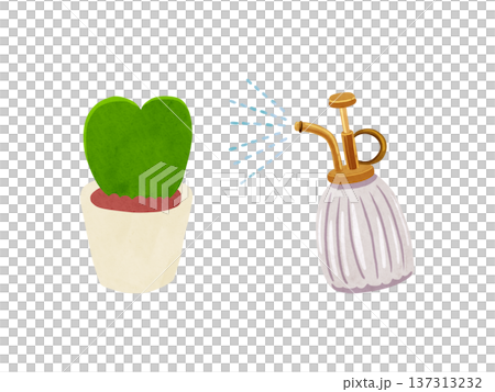 霧吹きミストとホヤ・カーリーの鉢植え　水彩風手描きイラスト 137313232