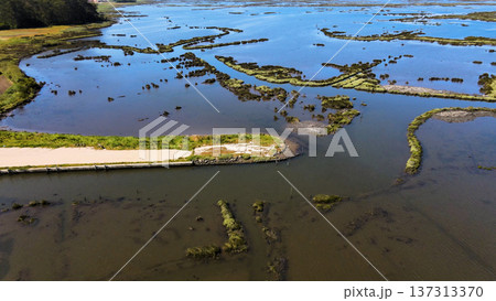 Aerial View of Ribeira das Teixugueiras 137313370