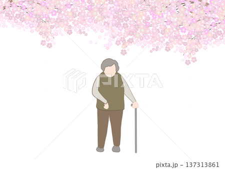 右麻痺の顔無しの老人が満開の桜の木の下で杖を使って散歩しているカラーイラスト 137313861