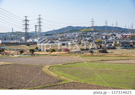 春の田園風景 京都府京田辺市 春の田園風景 京都府京田辺市 137314025