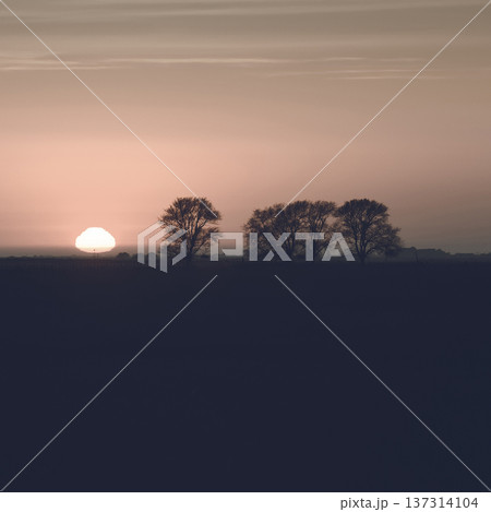 Rural sunset landscape, Buenos Aires province , Argentina 137314104