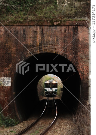 レトロなトンネルを通過するキハ185系気動車(復刻国鉄色)の特急「剣山」_2026/2/20撮影 137314175