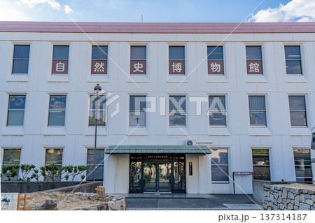 倉敷市立自然史博物館 倉敷美観地区観光(古代の化石や珍しい生き物に感動する体験ゾーン 岡山を知る) 倉敷市立自然史博物館 倉敷美観地区観光(古代の化石や珍しい生き物に感動する体験ゾーン 岡山を知る) 137314187