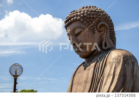 聚楽園大仏 聚楽園大仏 137314308