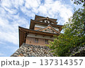 高島城 137314357