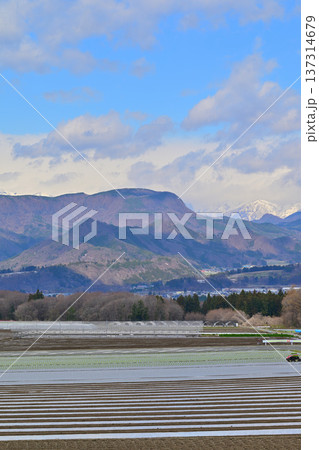 赤城高原からの眺め 綺麗に整備された畑 昭和村 赤城高原からの眺め 綺麗に整備された畑 昭和村 137314679