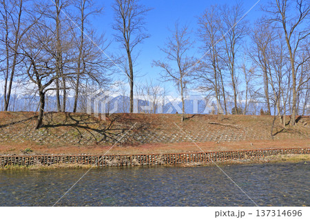 安曇野　早春の万水川 137314696