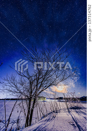雪原の木と満天の星空に流れ星が輝く冬の夜景 137314762