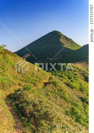 オロフレ山の登山道と緑の山頂風景（北海道・支笏洞爺国立公園） 137314767