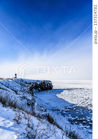 流氷の海を望む能取岬灯台と雪の断崖（北海道の冬景色） 137314781